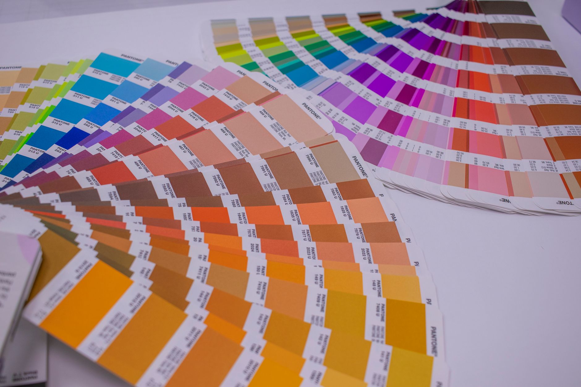 Brand discipline A graphic designer arranging a physical color palette and swatches